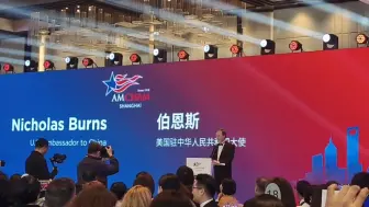 Download Video: 美国驻华大使 伯恩斯 Nicholas Burns 在上海参会 主席台上发言现场