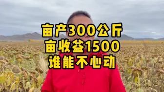 Download Video: 亩产300公斤亩收益1500谁能不心动