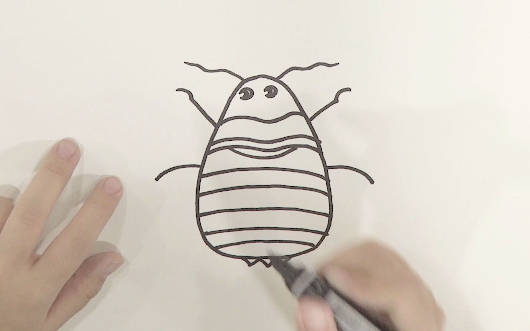 土壤里的昆虫简笔画图片