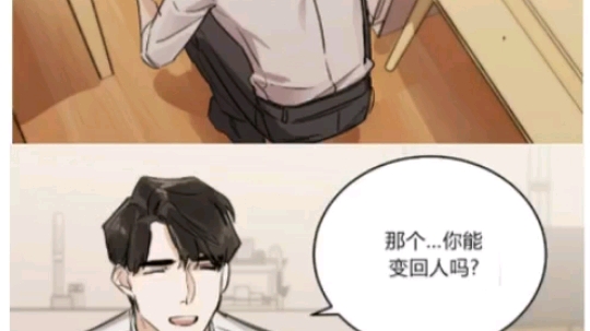 漫画《变温禽兽》裕树先生作者新作哔哩哔哩bilibili