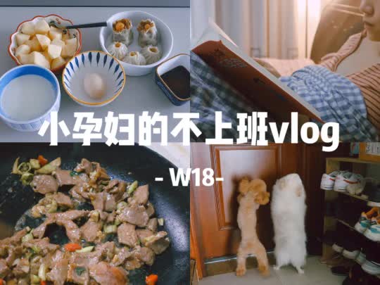 孕期Vlog|不上班的小孕妇 真实宅家日常哔哩哔哩bilibili