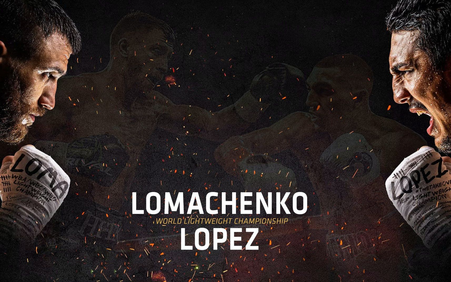 洛马琴科vs洛佩兹比赛解析