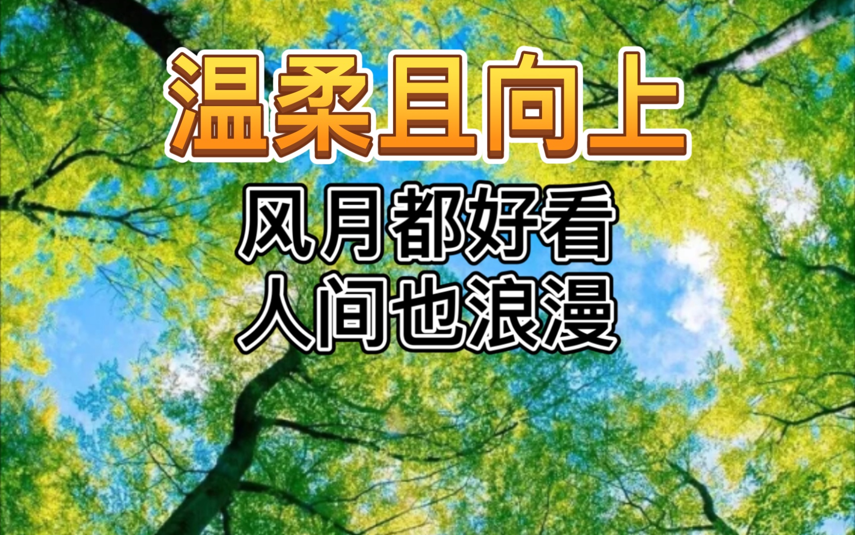 “我们年轻,阳光免费,目标清晰,未来可期”『温柔且向上的句子』哔哩哔哩bilibili