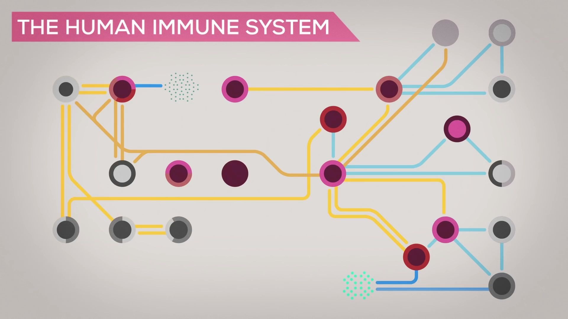 [图]【In a Nutshell】23.Measles Explained — Vaccinate or Not