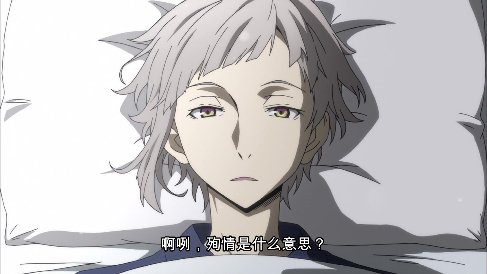 【文豪野犬/太敦】横滨明恋故事·第一集(太宰治x中岛敦)