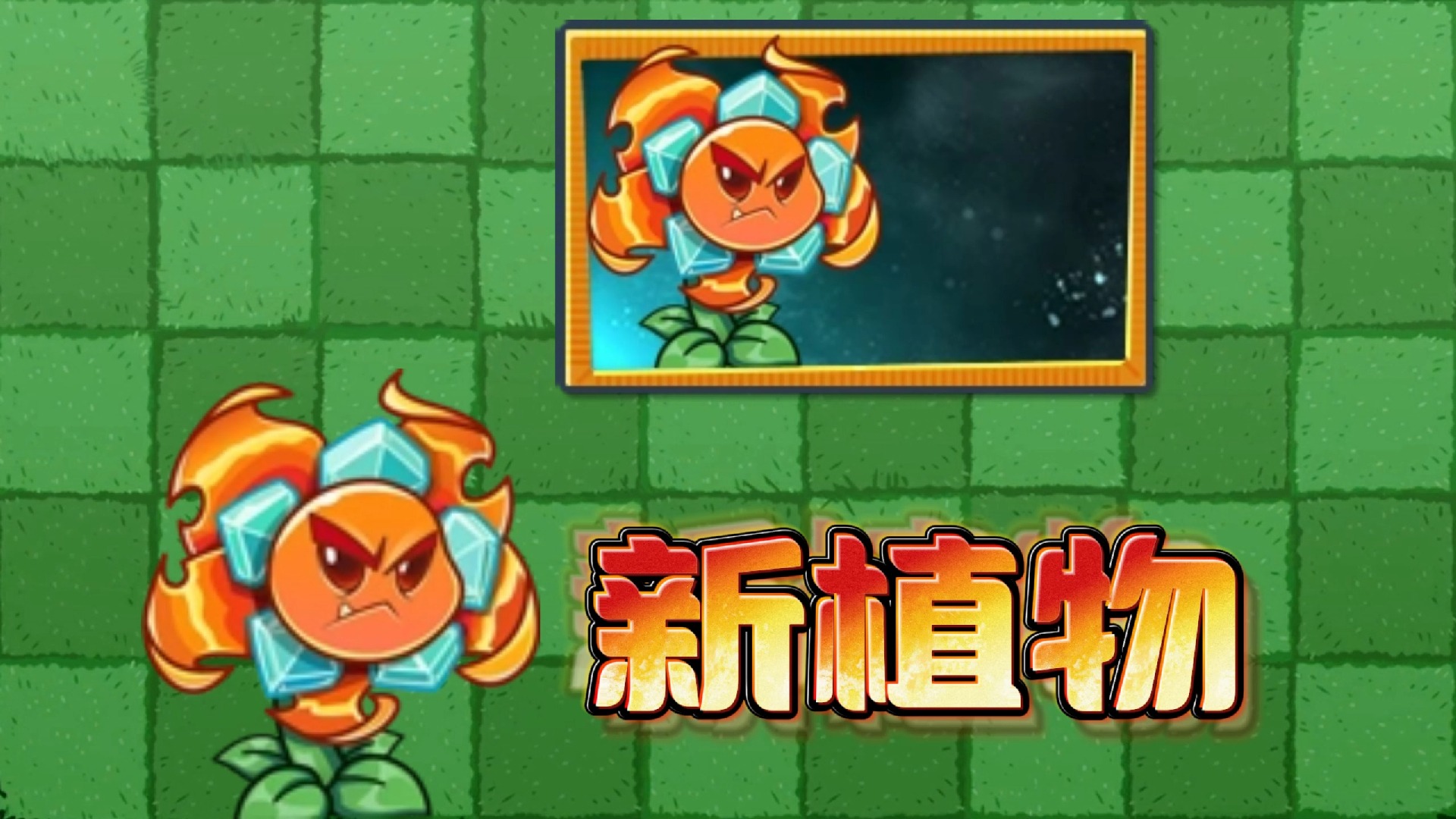 pvz2新植物麦子图片