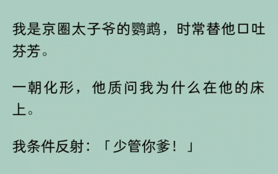 【全】我是京圈太子爷的鹦鹉,时常替他口吐芬芳.一朝化形,他质问我为什么在他的床上.我条件反射:「少管你爹!」气得他暴跳如雷.哔哩哔哩bilibili