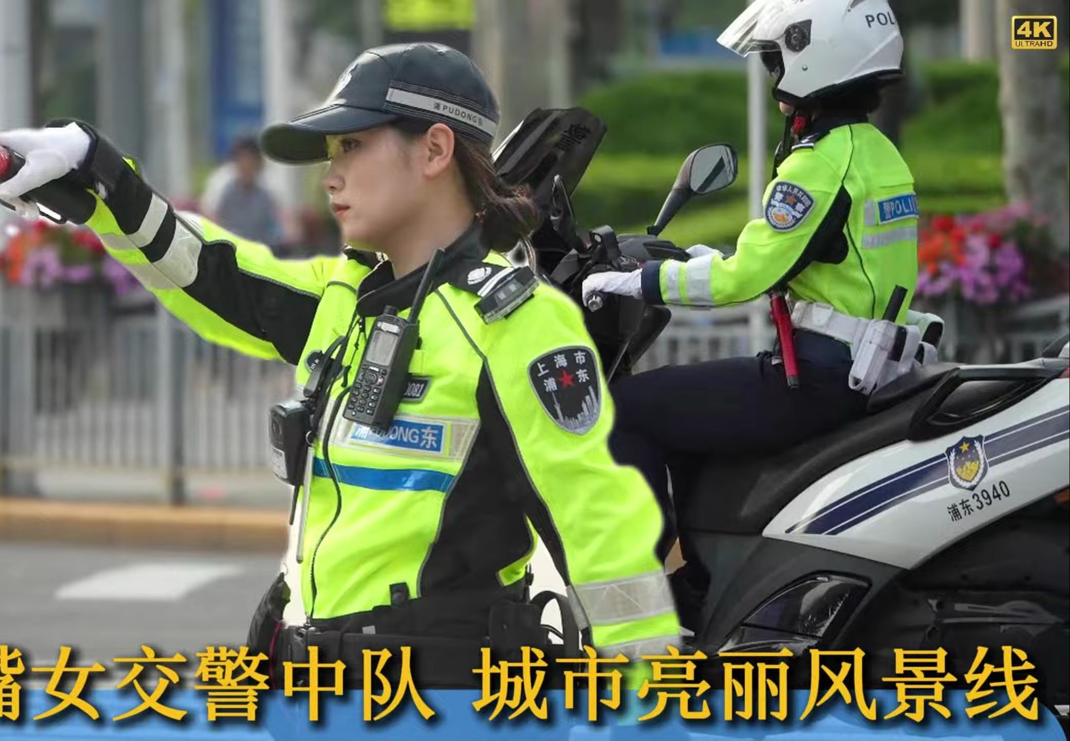 上海交警电话图片