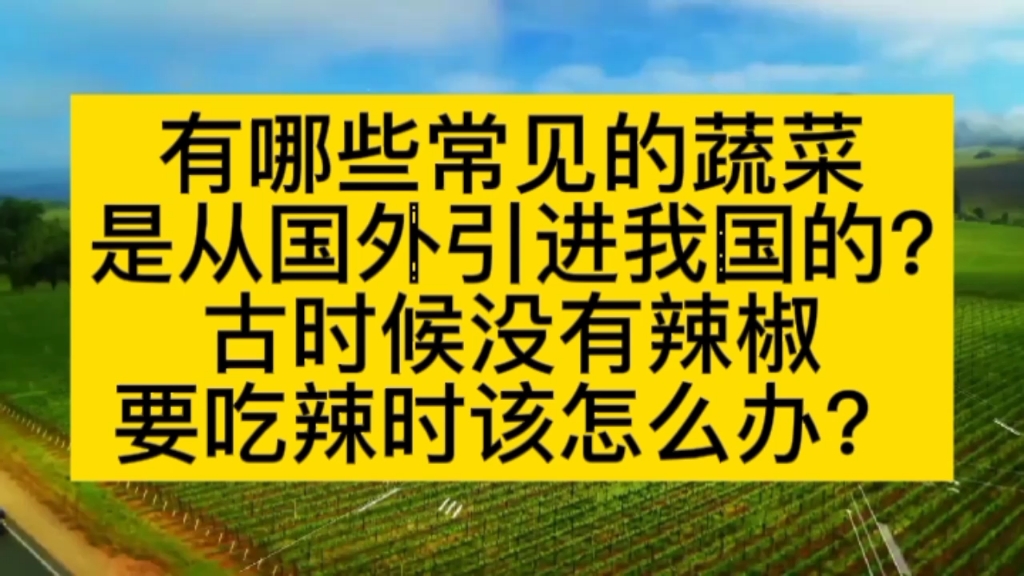 有哪些常见的蔬菜是从国外引进我国的?古时候没有辣椒,要吃辣时该怎么办?哔哩哔哩bilibili