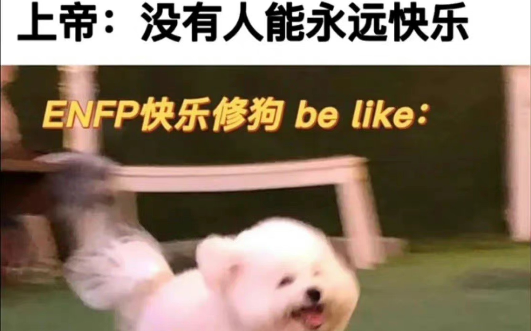 一些ENFP的梗图~哔哩哔哩bilibili