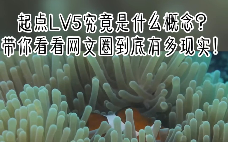 起点LV5究竟是什么概念?带你看看网文圈到底有多现实!哔哩哔哩bilibili