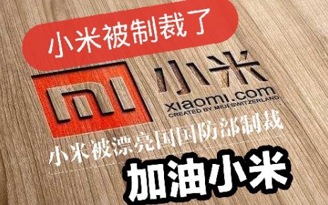 活动作品小米被漂亮国制裁
