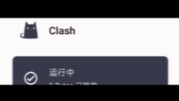 [图]这个clash真的配置的很完美