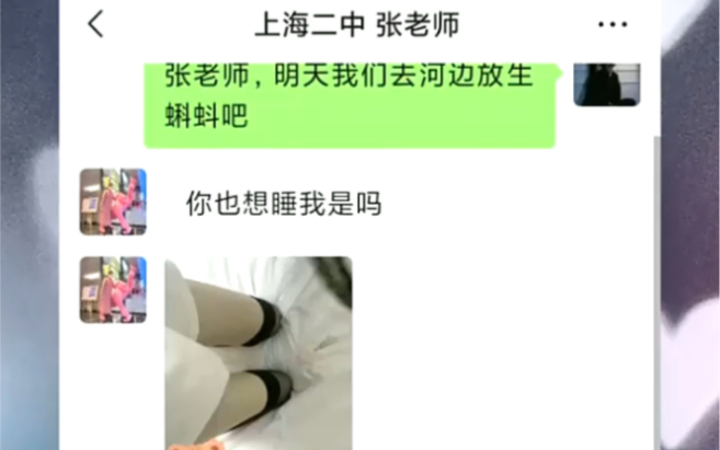 上海的张老师真的太懂我了.哔哩哔哩bilibili