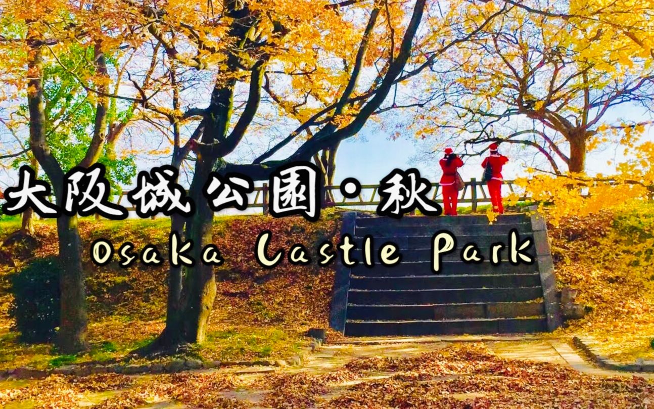 【日本】秋の大阪城公园: Autumn Leaves in Osaka Castle Park | 大阪城公园 秋 | 红叶の大阪城公园哔哩哔哩bilibili