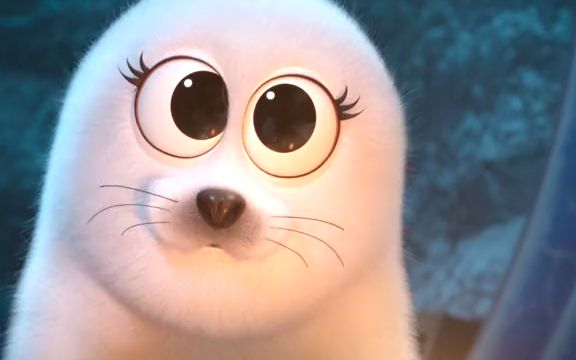 萌宠之间跨越种族的爱情 #小眼鑫美丽的神话  #治愈