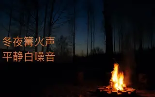 篝火背景音 搜索结果 哔哩哔哩 Bilibili