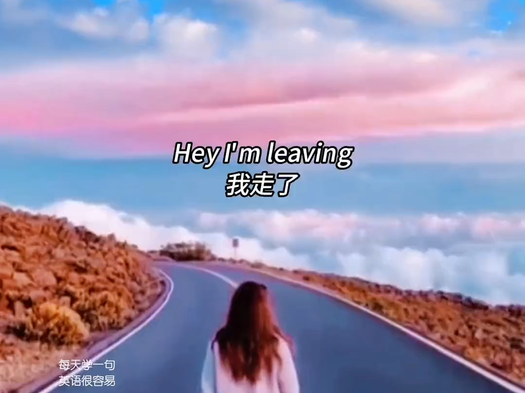 我走了,别责怪我,这趟旅程承蒙关照,我就在这里下车了,再见!