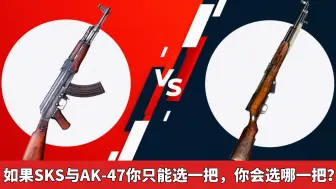 下载视频: 如果SKS与AK-47你只能选一把，你会选哪一把？