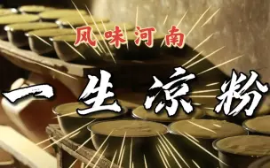 Descargar video: 河南凉粉界的最佳cp：一生凉粉“嫁”石子馍！酸爽咸香，强烈推荐！