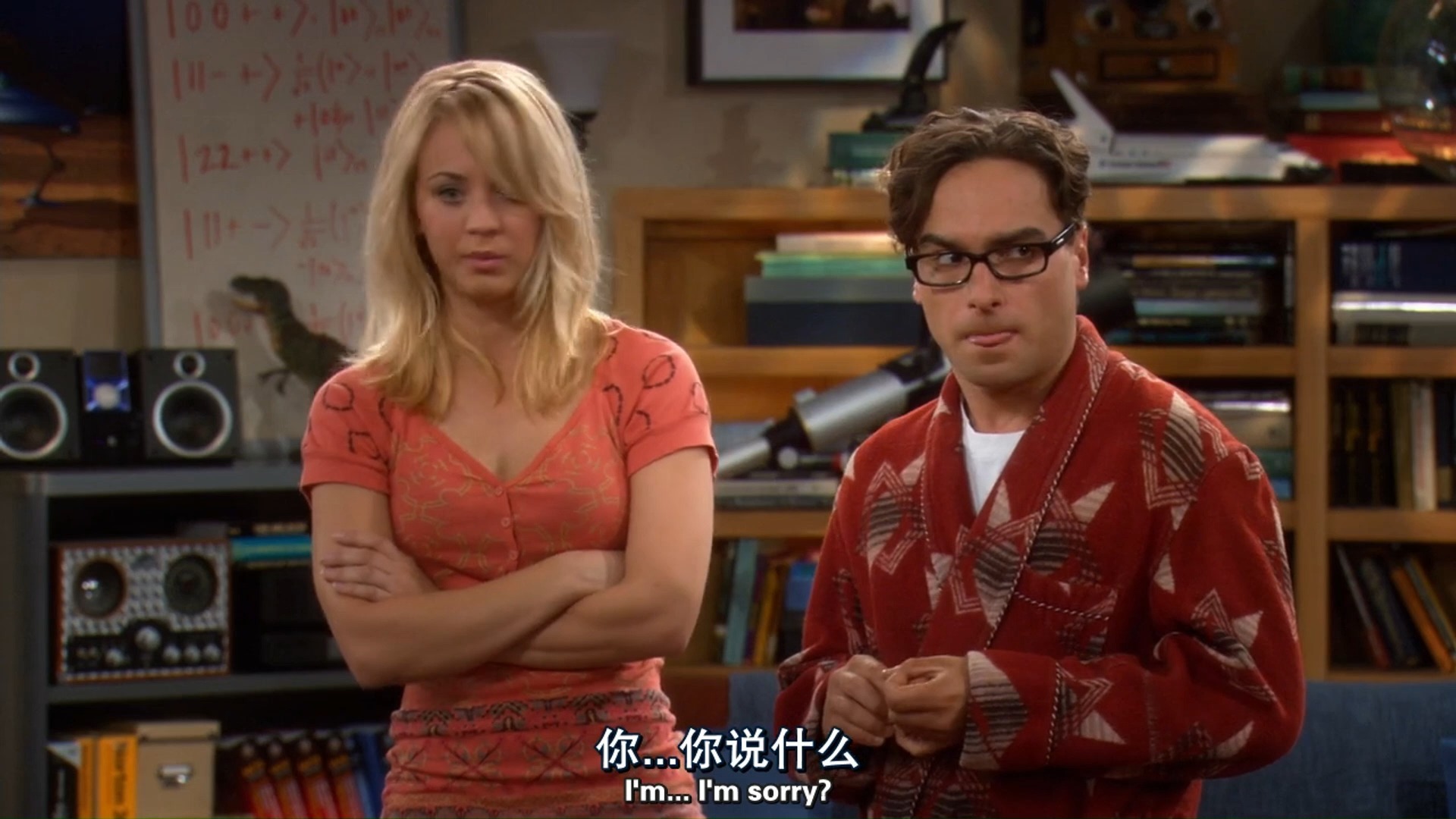 生活大爆炸第一季10