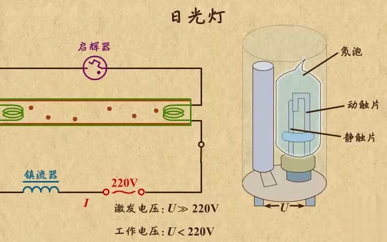 高中物理| 高中物理动画第21章 电磁感应(3)|07日光灯的原理哔哩哔哩bilibili