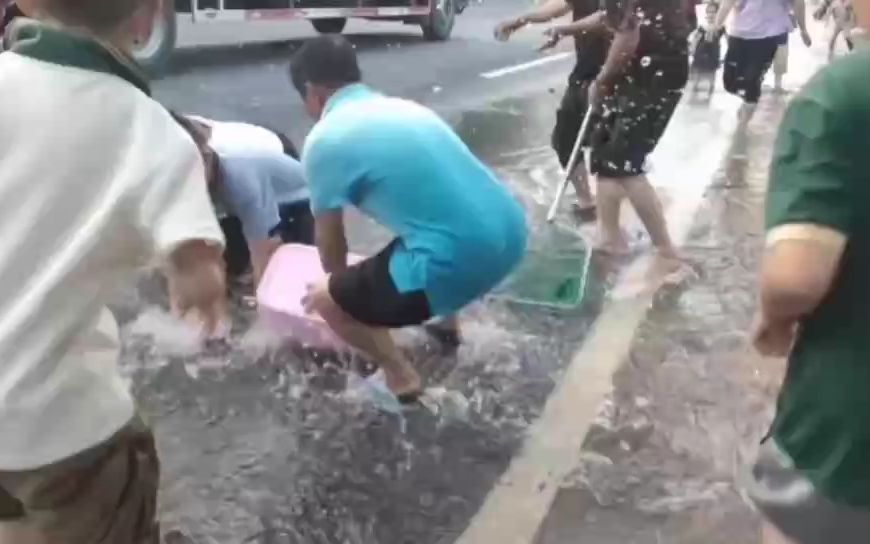 湖北孝感暴雨后,市民纷纷上大马路上抓鱼,哔哩哔哩bilibili