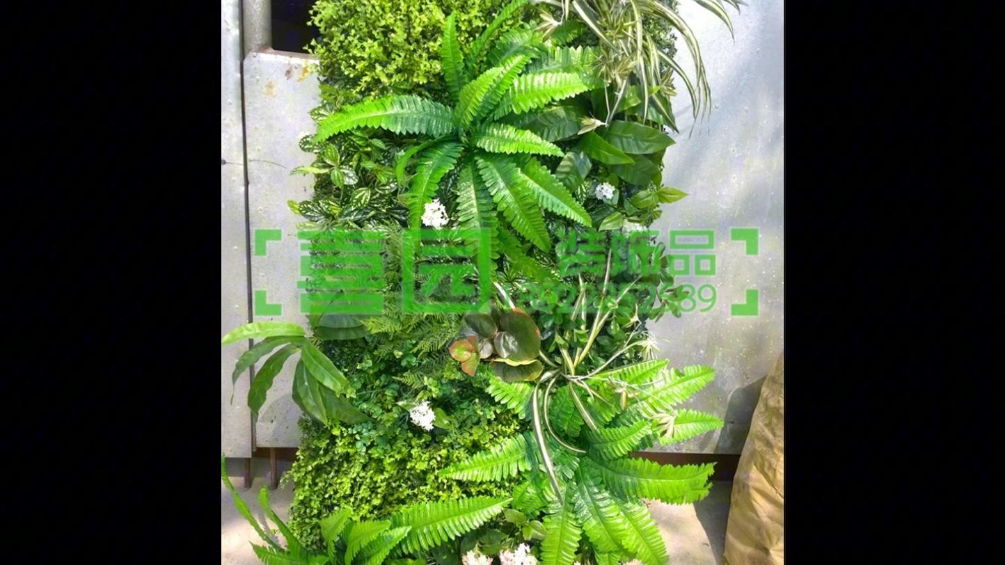 草坪草皮多少钱一吨