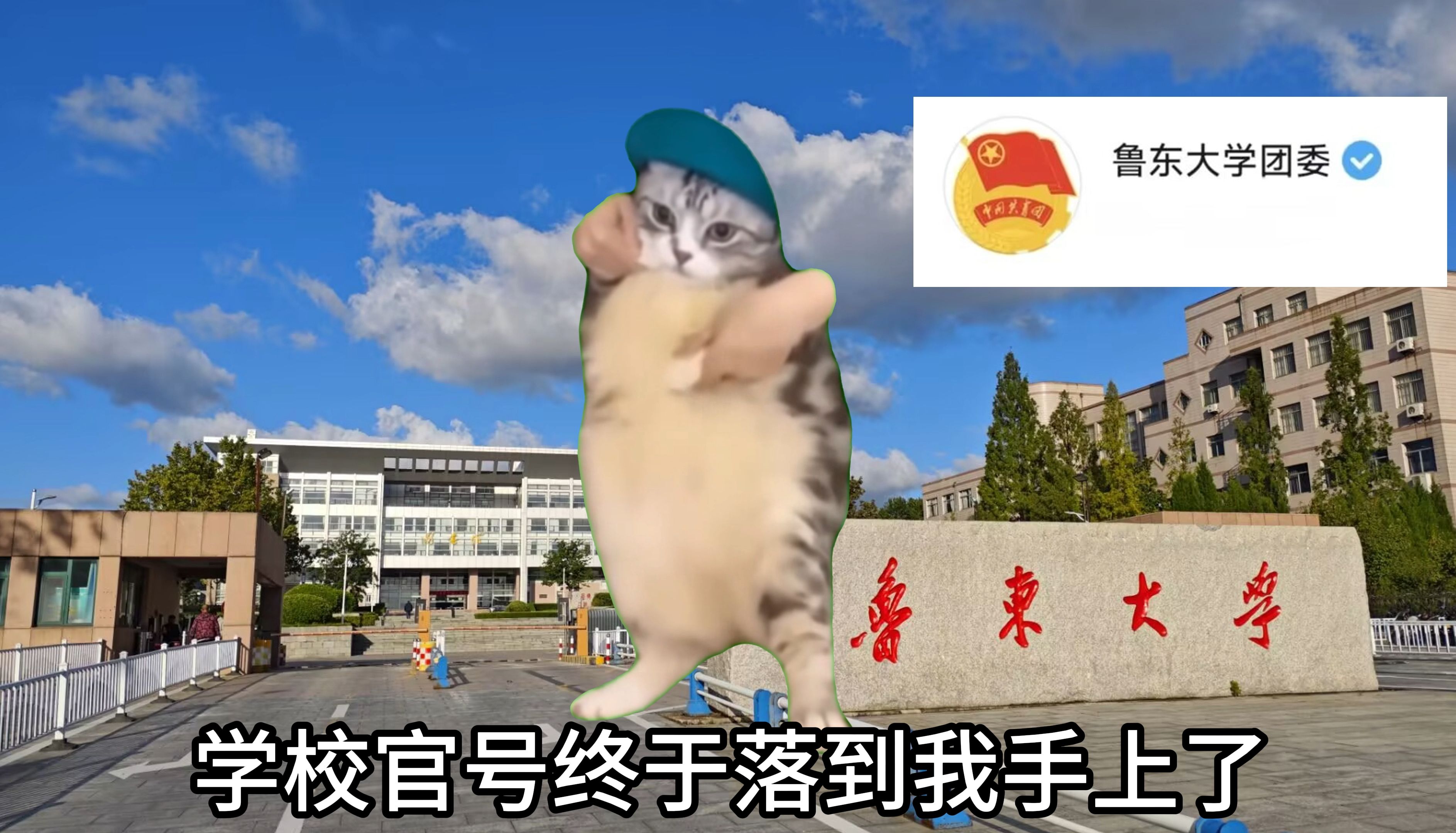 学校官号终于落到我手里了【鲁东大学】哔哩哔哩bilibili