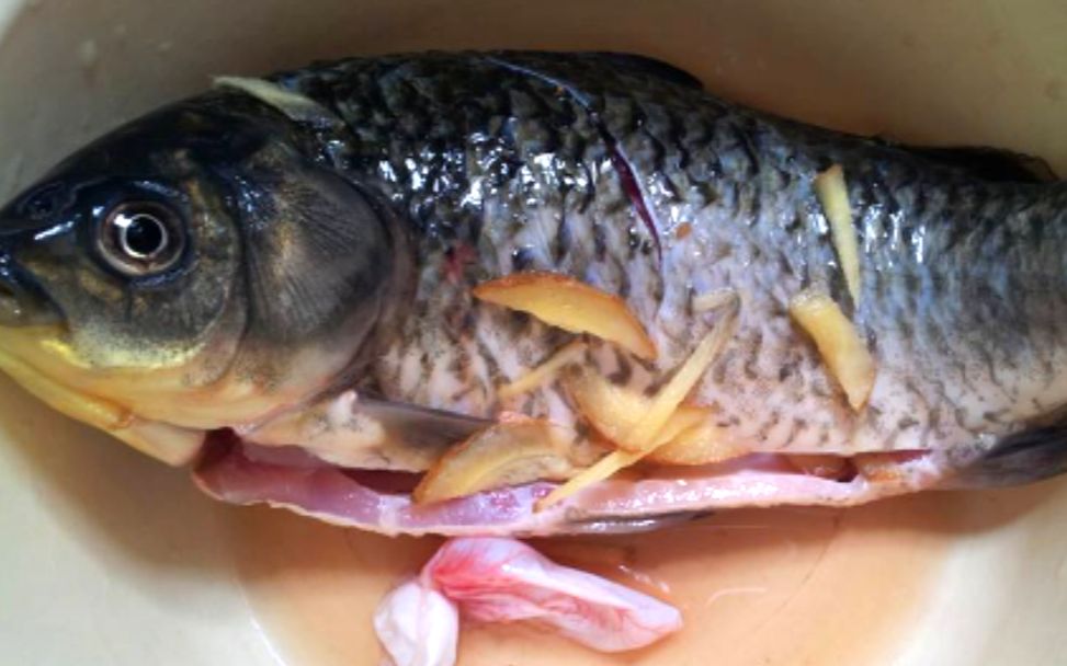 它是鱼腥的"克星",做鱼时倒一杯进去,鱼鲜肉嫩,一点也不腥_哔哩哔哩