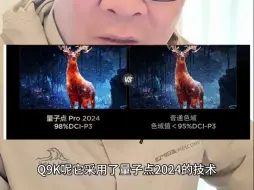 Download Video: TCL电视Q9K与雷鸟电视鹤7 24款到底怎么选？