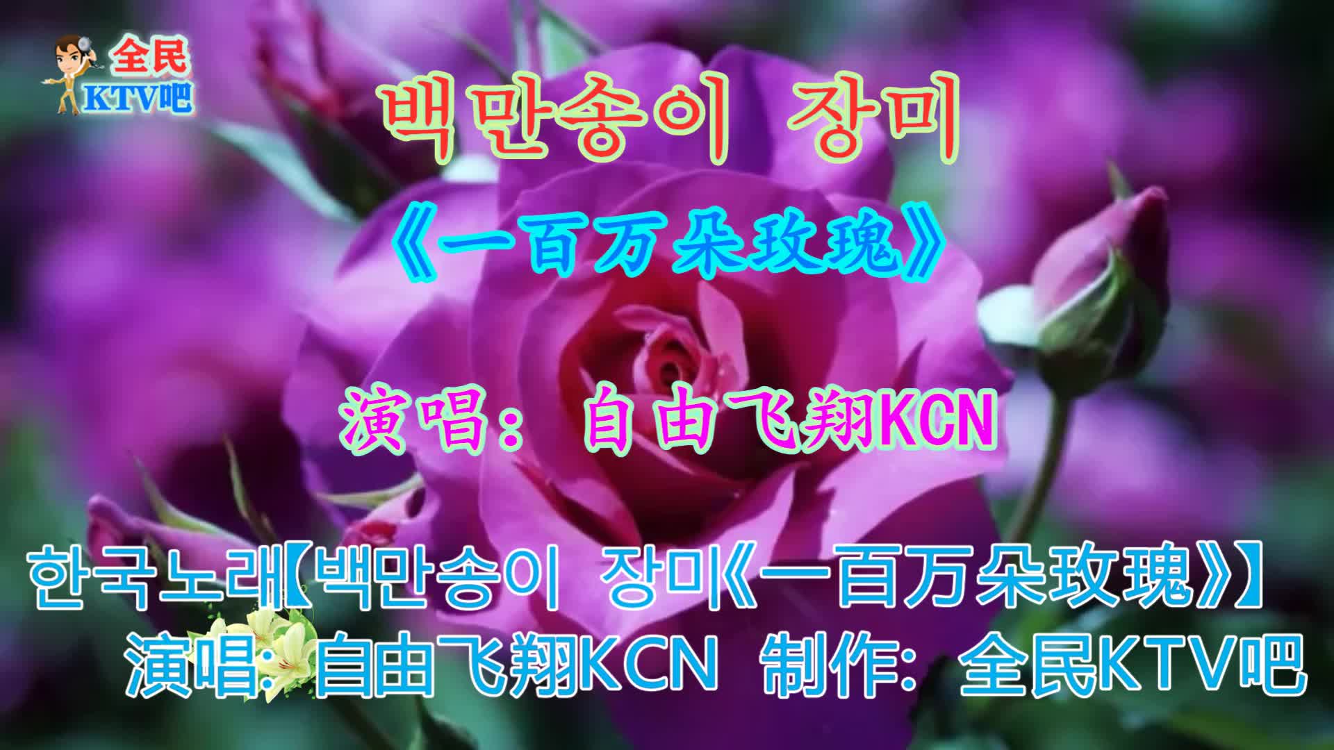 韩国歌曲一百万朵玫瑰自由飞翔朝鲜族妹妹演唱