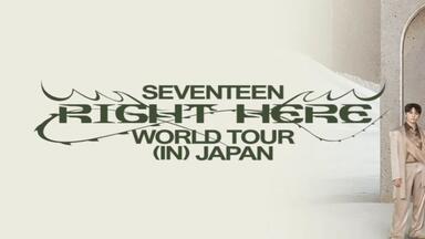 禁一切】20240526 SEVENTEEN TOUR FOLLOW AGAIN TO JAPAN IN神奈川_哔