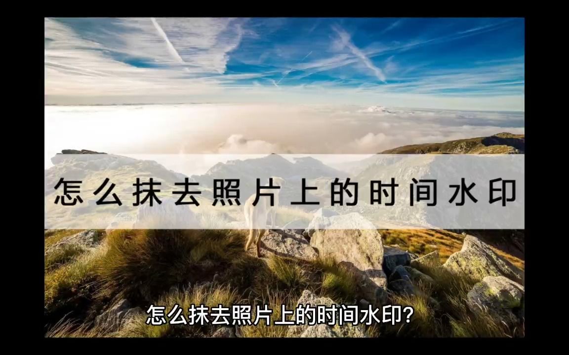 怎么抹去照片上的时间水印?点进来三分钟学会哔哩哔哩bilibili