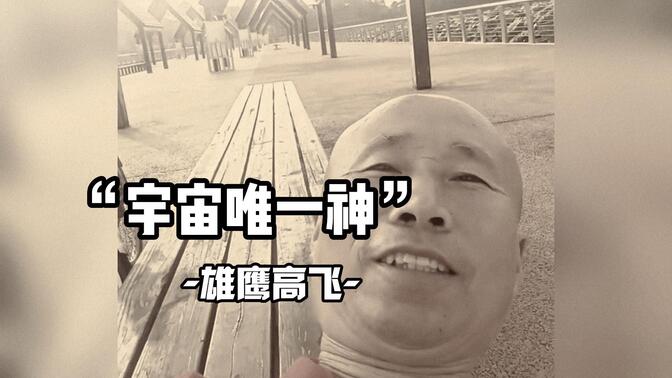 90"宇宙唯一神"-雄鹰高飞90