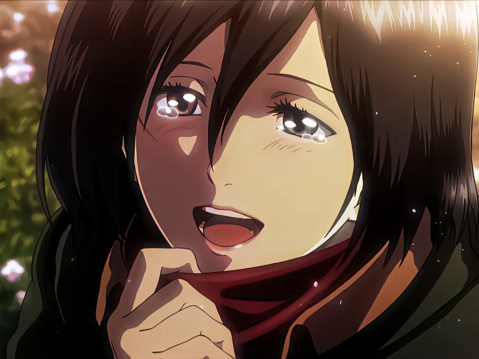 是手绘的三笠啊(实在没东西发了)