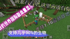 Minecraft国际版1 16血量显示 不是标题党 哔哩哔哩 つロ干杯 Bilibili