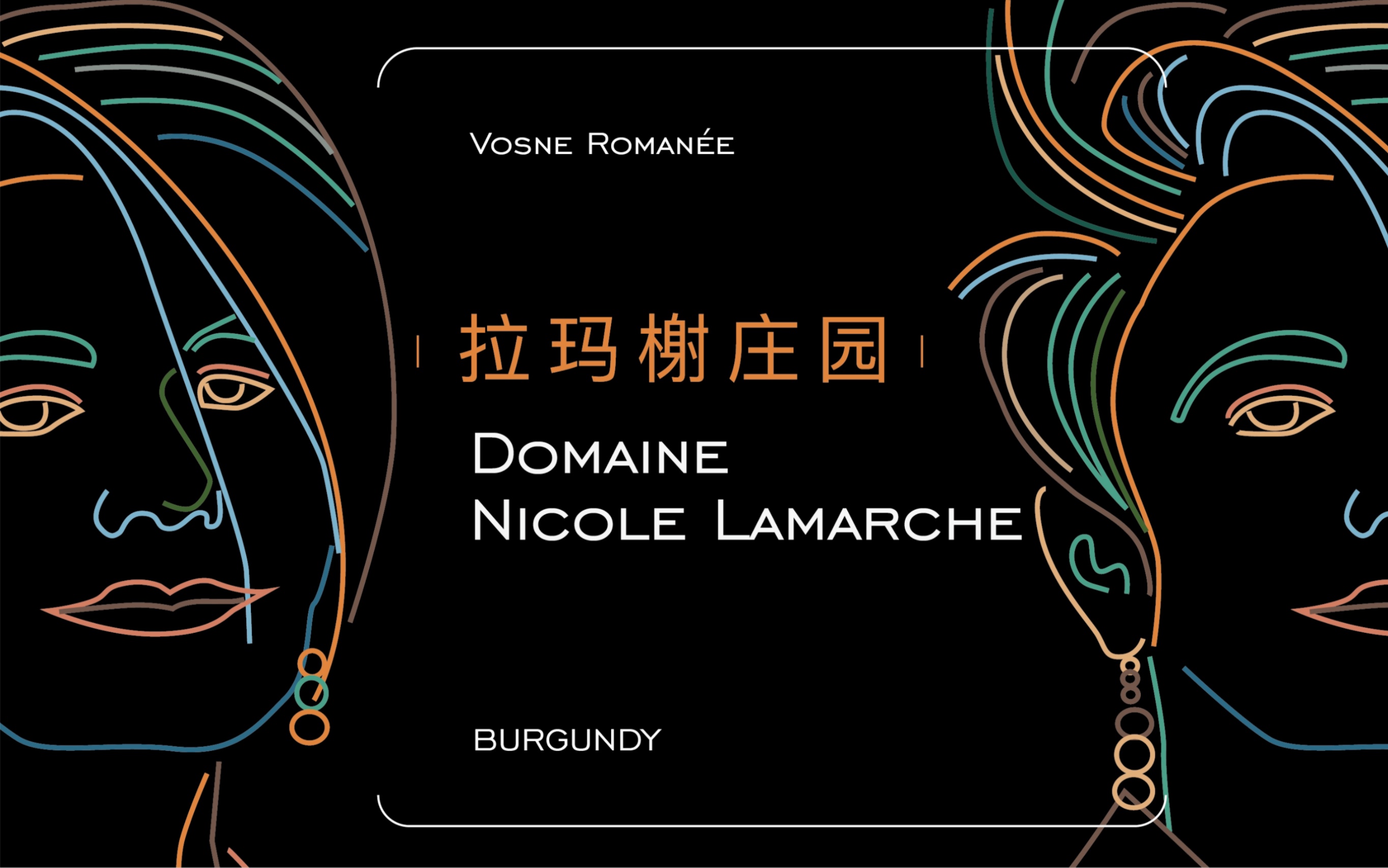 毛毛讲酒|勃艮第风土佳酿|Domaine Nicole Lamarche哔哩哔哩bilibili