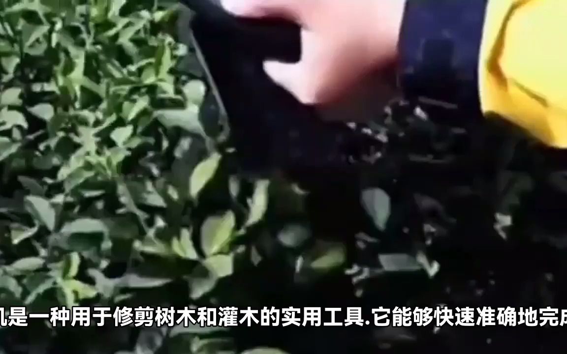 电动双刃绿篱修剪机:实现快速高效的绿篱修剪哔哩哔哩bilibili