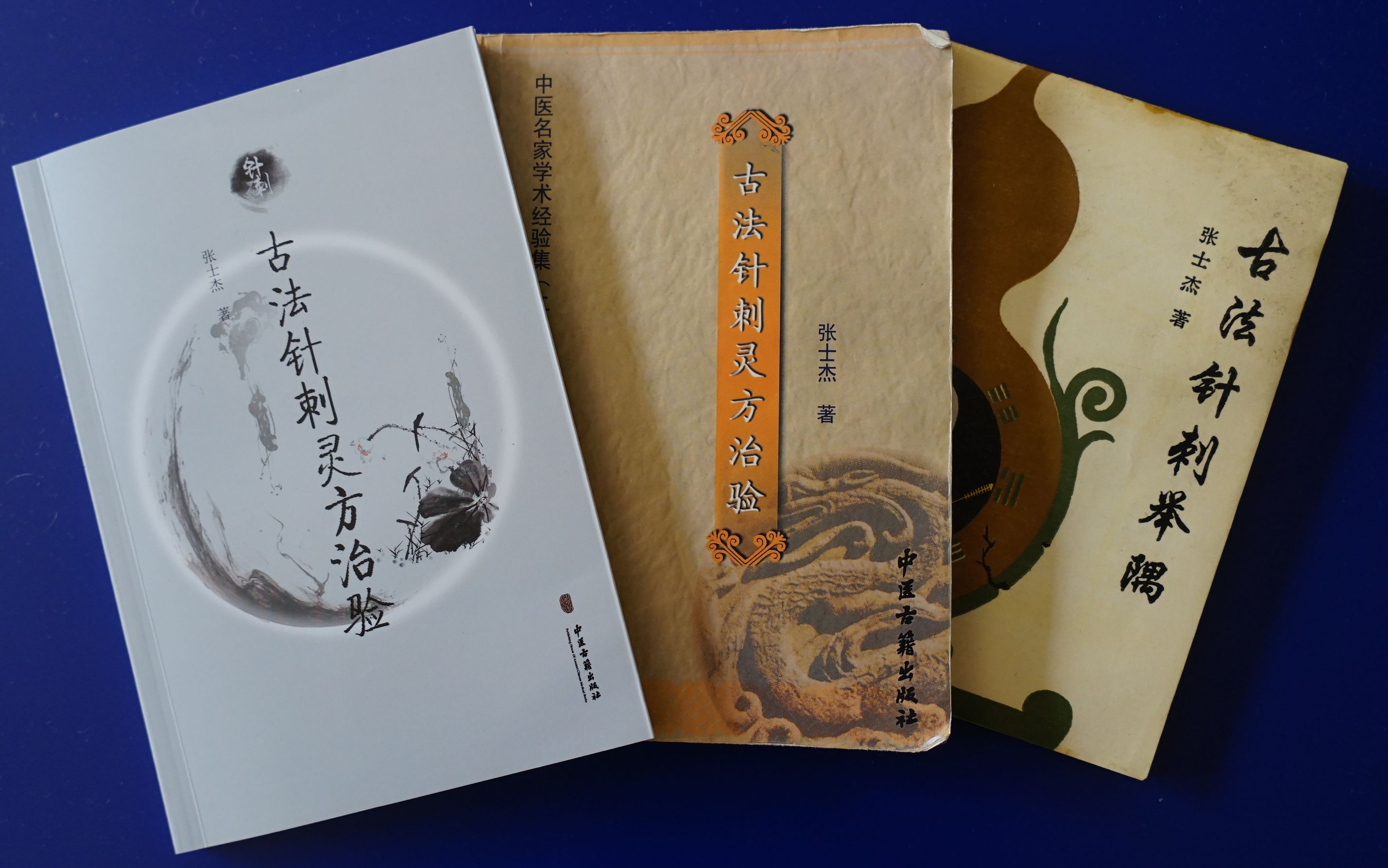 北京中医药大学教授耿恩广回忆张太溪