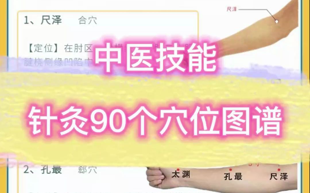 中医技能 针灸90个穴位图谱3哔哩哔哩bilibili