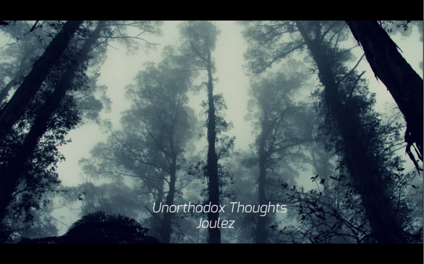 [图]Unorthodox Thoughts HD11 AP