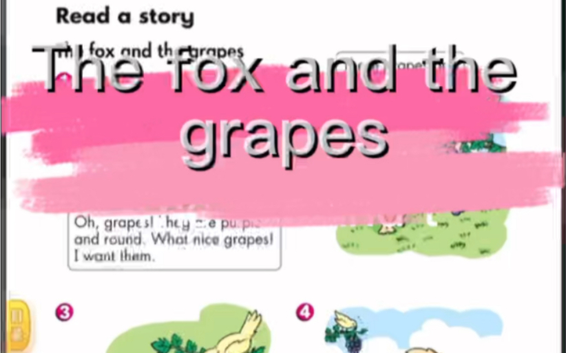 The fox and the grapes (吃不到葡萄说葡萄酸)哔哩哔哩bilibili