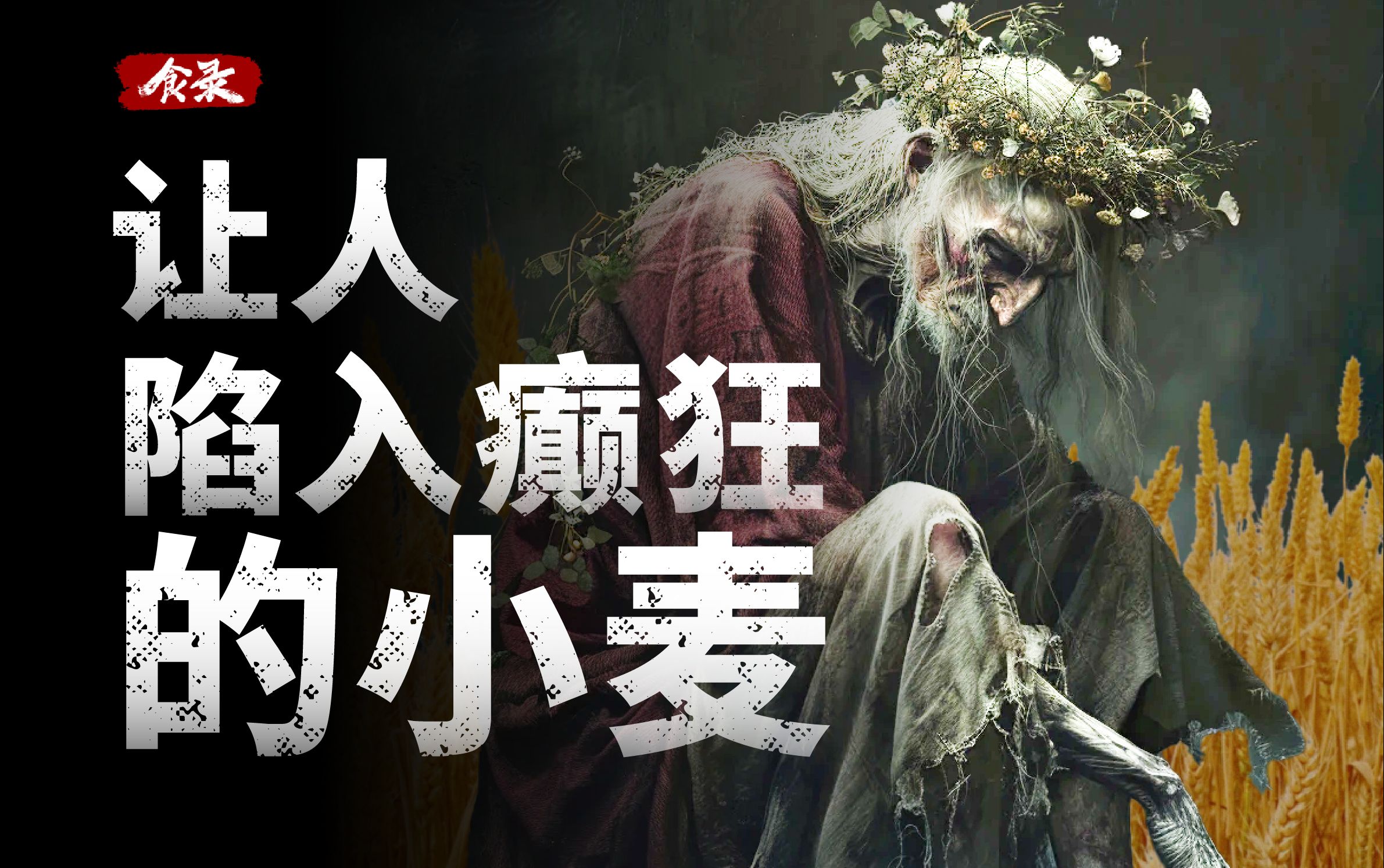 小麦的恶魔双胞胎:被嫌弃的毒麦的一生【食录】哔哩哔哩bilibili