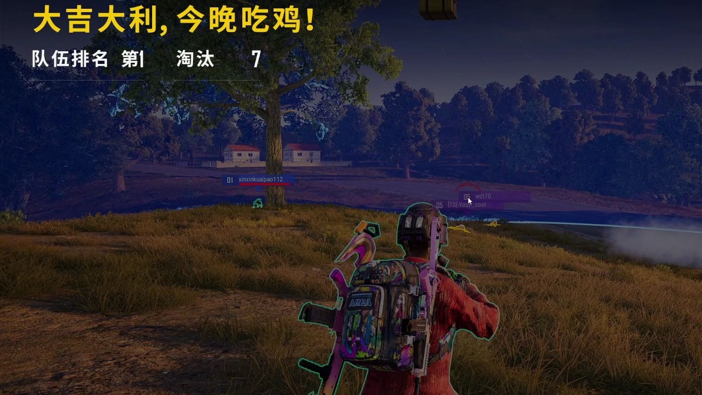 日常游戏集锦.吃鸡了