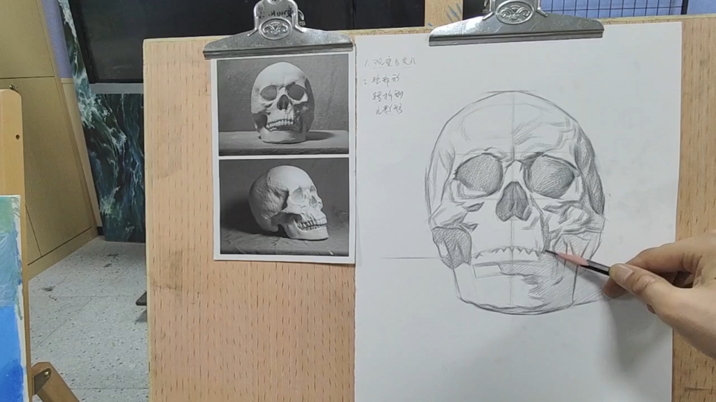 腾飞素描石膏像课程_骷髅头正面结构讲解