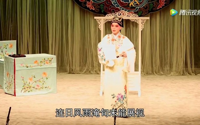 卢磊医生彩爨《牡丹亭叫画》哔哩哔哩bilibili