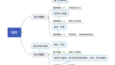 关于植物的分类和区别 很多初中生容易出现混淆 我们的视频帮助大家分辨一下 以及其它部分的记忆口诀 哔哩哔哩