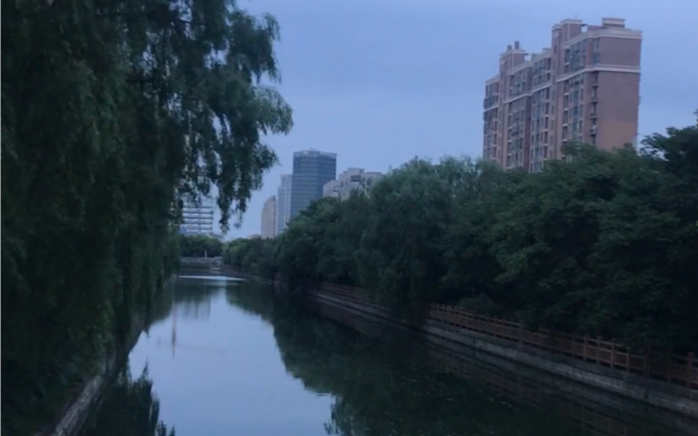 上海街景实拍(浦东,川沙新镇华夏二路,川迪菜市场旁边未名河)哔哩哔哩bilibili