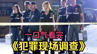 一口气看完美剧《犯罪现场调查》第一季，女子精神崩溃“闷死”4个月的儿子，警方调查却发现真相更残忍！